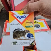 مرگ موش، سم موش، چسب موش بسیار قوی