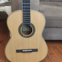 گیتار grape e310|گیتار، بیس، امپلیفایر|بوشهر, |دیوار