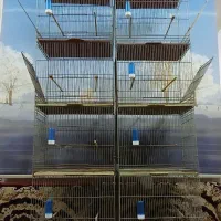 قفس جفت خون سفارشی آپارتمانی مخصوص سالن و مغازه
