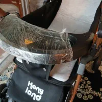 کالسکه دلیجان در حد نو