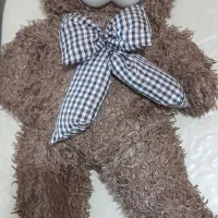 خرس شاشخین قهوه ای