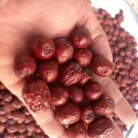 عناب .اناب فروشی درشت