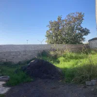 زمین سند دار