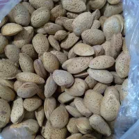 بادام سنگی