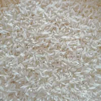 به قیمت عمده  به شما میدهیم