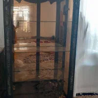 گنجه وکمدلباس فروشی|بوفه، ویترین، کنسول|گلبهار, نوبهار|دیوار