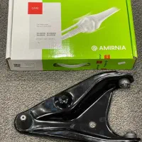 طبق ساندرو امیرنیا