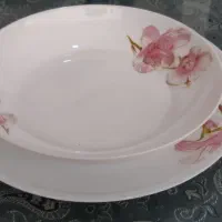 ظرف چینی۱۲نفره|ظروف سرو و پذیرایی|مشهد, عامل|دیوار