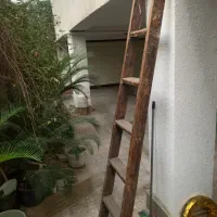 نردبان