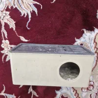 لانه مرغ عشق لونه مرغ عشق رایگان