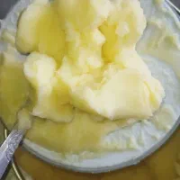 عسل وروغن حیوانی|خوردنی و آشامیدنی|اورامان, |دیوار