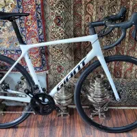 کورسی جاینت تی سی آر ادونس کربن