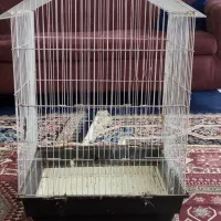 یک جفت|پرنده|خرمشهر, |دیوار