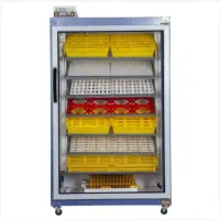 پذیرش تخم نطفه دار غاز اشتراکی