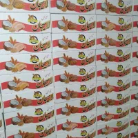 کلوچه لاهیجان|خوردنی و آشامیدنی|قم, قلعه کامکار|دیوار