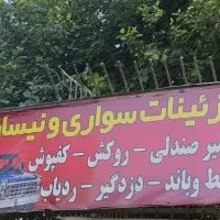 تزیینات سواری و نیسان