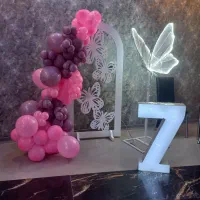 تم تولدی بادکنک ارایی|خدمات پذیرایی، مراسم|تربتحیدریه, طالقانی|دیوار