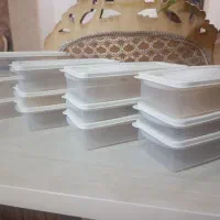 ظروف فریزری لیمون