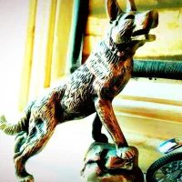 مجسمه گرگ و سنجاقک برنجی|مجسمه، تندیس، ماکت|مشهد, شهرک رازی (شهرک غرب)|دیوار