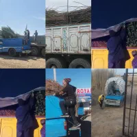 نهال بادام و گردو دیر گل|خدمات باغبانی و درختکاری|شهرکرد, |دیوار