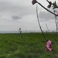 رهن و اجاره زمین کشاورزی