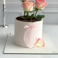 کیک روز‌مادر|خدمات پذیرایی، مراسم|قم, مهدیه|دیوار