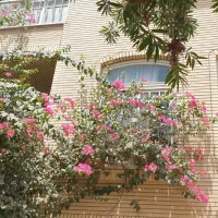 فروش خانه ویلایی نزدیک حرم،دفاتر مراجع(یخچال قاضی)|فروش خانه و ویلا|قم, یخچال قاضی|دیوار
