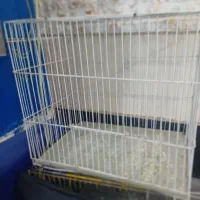 قفس|لوازم جانبی حیوانات|سبزوار, چهارراه فرودگاه|دیوار