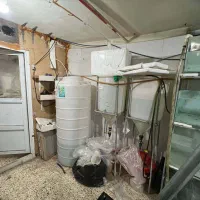 لوازم سالن ماهی زینتی|ماهی|سلماس, |دیوار