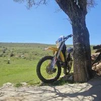 rmx250