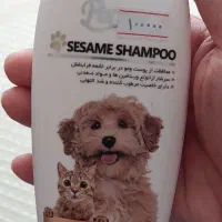 وسایل گربه|گربه|رشت, ترمینال|دیوار