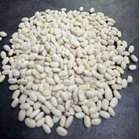 فروش انواع لوبیا قرمز - چیتی - چشم بلبلی - سفید|عمدهفروشی|ری, منصوریه منگل|دیوار