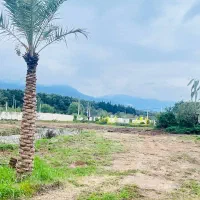 زمین ۶۰۰متری سنددار شهرک با اصالت سیسنگان