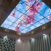 سقف کشسان، آسمان مجازی ،معرق