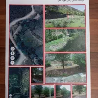 فروش زمین با مجوز مرغداری گوشتی|فروش دفتر صنعتی، کشاورزی، تجاری|آلاشت, |دیوار