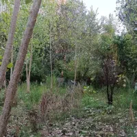 فروش-زمین-کمربندی-لاهیجان