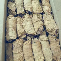 برگ خشک