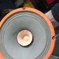 میترنج|صوتی و تصویری|همدان, |دیوار