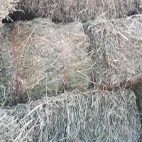 یونجه پرس شده|لوازم جانبی حیوانات|زنجان, |دیوار