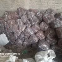 خرما انواع صنعتی ش|عمدهفروشی|کارون, |دیوار