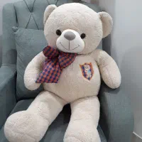 خرس شاصخین و خرس کوآلا