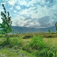 فروش-قطعه-زمین-200-متری-laquo-سند-تک-برگ-raquo-عربخیل