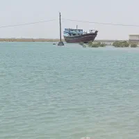 زمین بندر تیاب 400متر