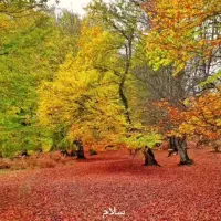 همسفر هرمز|فعالیت داوطلبانه|بابل, |دیوار