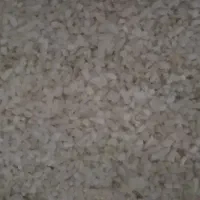 برنج نیم دانه دشت لنجان