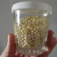 خاویار حلزون