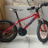 دوچرخه 20 تایوانی