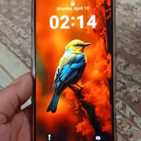 آیفون ۱۶ پرومکس