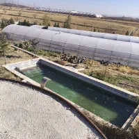 باغ گل خانه ای 5000 هزارمتری|فروش دفتر صنعتی، کشاورزی، تجاری|زنجان, |دیوار