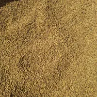 بذر یونجه|خدمات باغبانی و درختکاری|ساوه, |دیوار